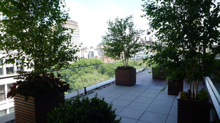Enlarge photo 36