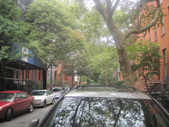 Enlarge photo 19