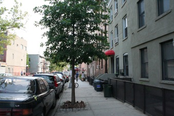 Enlarge photo 15