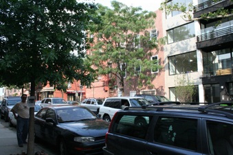 Enlarge photo 17