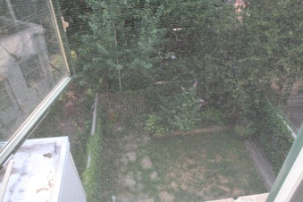 154 Whythe Ave