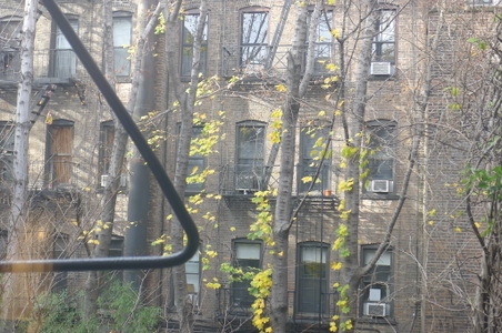 Enlarge photo 20