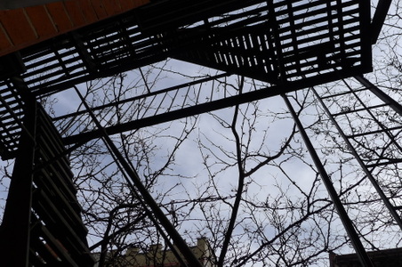 Enlarge photo 34