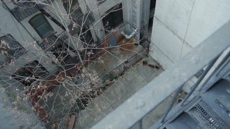 Enlarge photo 16