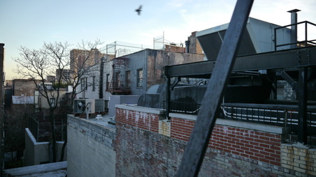 Enlarge photo 35
