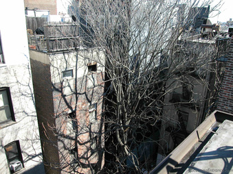 Enlarge photo 12
