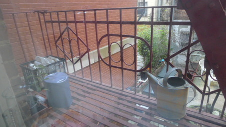 Enlarge photo 13