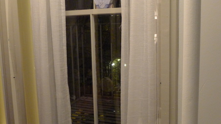 Enlarge photo 17