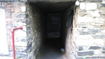 Enlarge photo 46