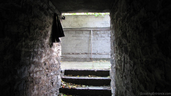 Enlarge photo 47