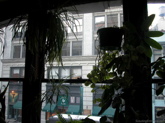 Enlarge photo 16