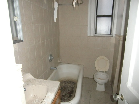 Enlarge photo 43