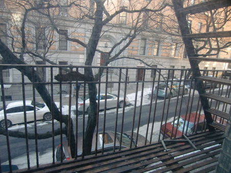 Enlarge photo 41