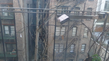 Enlarge photo 21
