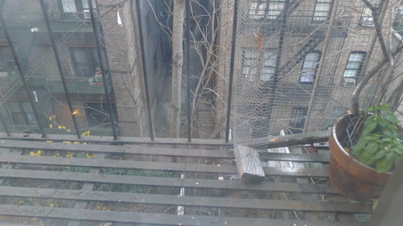 Enlarge photo 22