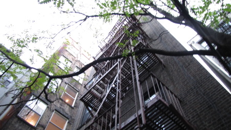 Enlarge photo 15