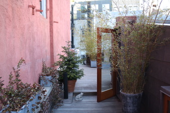 Enlarge photo 35