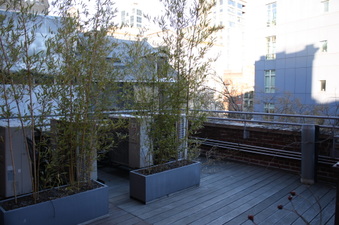 Enlarge photo 37