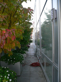 Enlarge photo 17