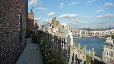 Enlarge photo 39