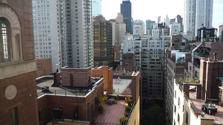 Enlarge photo 47
