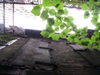 Enlarge photo 16