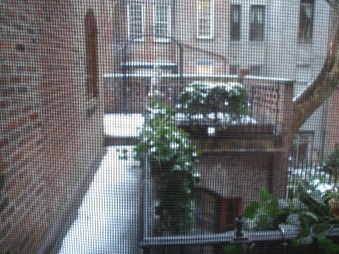 Enlarge photo 32