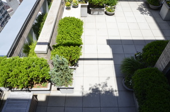 Enlarge photo 53