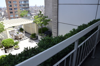 Enlarge photo 54
