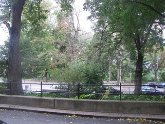 Enlarge photo 7