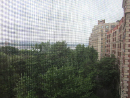Enlarge photo 11