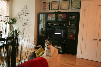 Enlarge photo 23