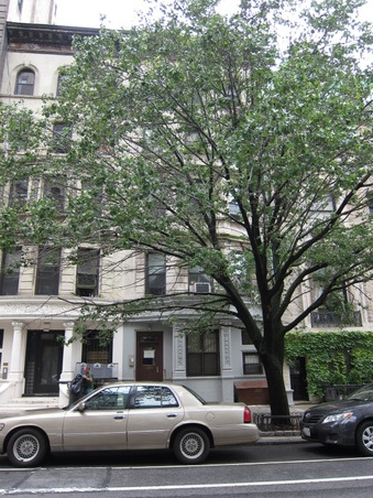 320 West 106 Street