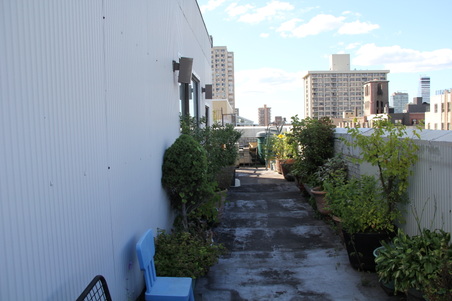 Enlarge photo 10