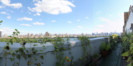 Enlarge photo 20