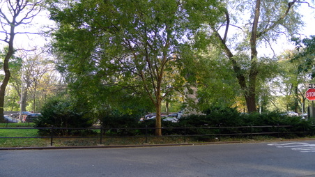 Enlarge photo 3