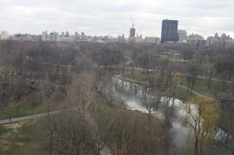 Enlarge photo 10