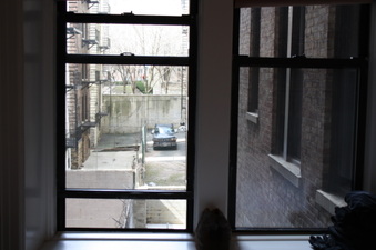 Enlarge photo 27