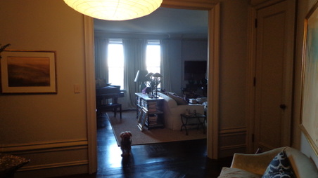 Enlarge photo 6