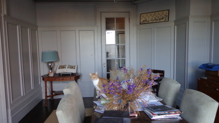 Enlarge photo 8
