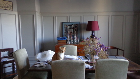 Enlarge photo 9