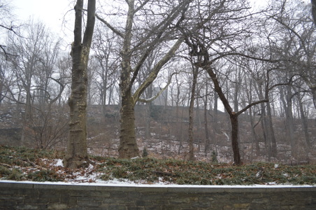Enlarge photo 10