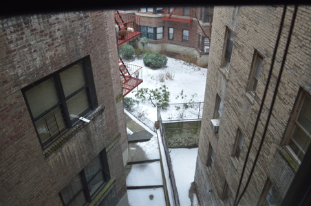 Enlarge photo 43