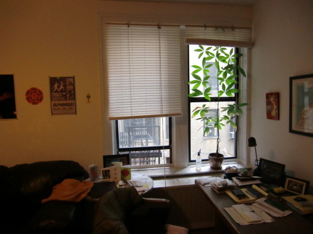 Enlarge photo 6