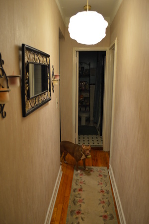 Enlarge photo 54