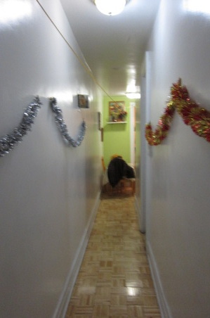Enlarge photo 2