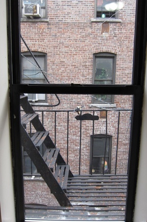 Enlarge photo 39