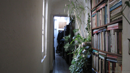 Enlarge photo 19