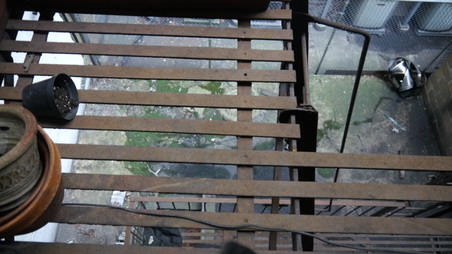 Enlarge photo 7