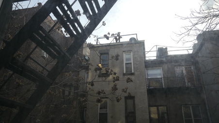 Enlarge photo 11